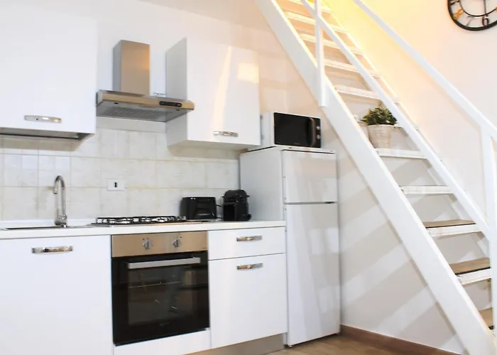 University Home * 바리