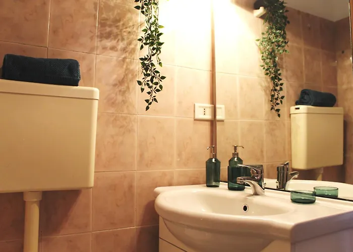 University Home * バーリ